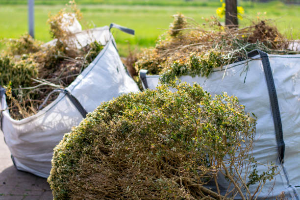 Best Basement Cleanout Services  in Pearsall, TX